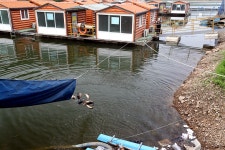 한터낚시터. 유료낚시터 > 한터 낚시터 2022년 6월17일 금요일 향어 대량방류했습니다. : 낚시사랑