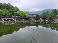 우금낚시공원 유료낚시터 > 사짜퍼레이드 주말조황 : 낚시사랑