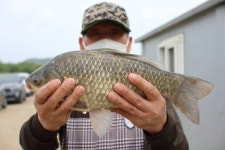 내동지 유료낚시터 > *** 4짜 199마리. *** : 낚시사랑