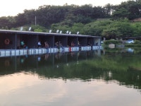 우금낚시공원 유료낚시터 > 더운날의 우금조황 : 낚시사랑