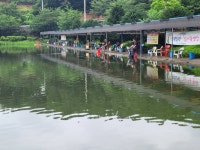 우금낚시공원 유료낚시터 > 우중속에 우금이네요~~ : 낚시사랑