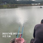 양평그린낚시터 유료낚시터 > 양평 그린낚시터 6/28~6/29 조황 정보 및 방류 소식 : 낚시사랑
