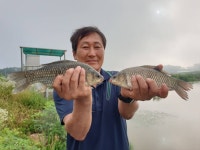 성호낚시터 유료낚시터 > 월척풍년 이천성호낚시터 7월2일 조황정보. : 낚시사랑