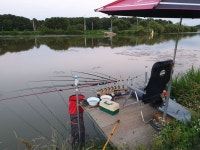 성호낚시터 유료낚시터 > 월척풍년 이천성호낚시터 7월2일 조황정보. : 낚시사랑