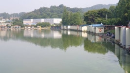 안성 거청낚시터 유료낚시터 > 7월 3 일 장마철 안전하게 즐낚을 거청낚시터 에서 . . . : 낚시사랑