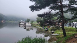 용담낚시터 유료낚시터 > 7월1주차 조황정보 (토종붕어 매주 토요일 방류합니다.) : 낚시사랑