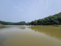 삼인낚시터 유료낚시터 > 가깝고 물좋고 경치 좋은곳~~!!-용인삼인낚시터- : 낚시사랑