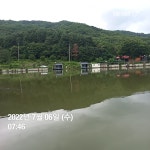 양평그린낚시터 유료낚시터 > 양평 그린낚시터 7/5~7/6 조황 정보 및 방류 소식 : 낚시사랑