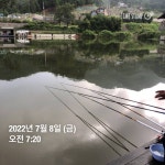 양평그린낚시터 유료낚시터 > 양평 그린낚시터 7/7~7/8 조황 정보 및 방류 소식 : 낚시사랑