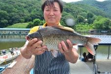 상덕낚시터 유료낚시터 > [상덕낚시터] 6월 마지막주 이야기 용인 상덕 : 낚시사랑