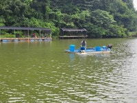 진우낚시터 유료낚시터 > 주말 조황소식입니다 : 낚시사랑