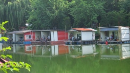 양평수곡낚시터 유료낚시터 > 7월 둘째주 주말 양평 수곡낚시터 조항 및 붕어방류 : 낚시사랑