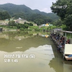양평그린낚시터 유료낚시터 > 양평 그린낚시터 7/16~7/17 조황 정보 및 방류 소식 : 낚시사랑