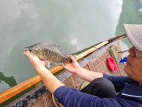 하천낚시터 유료낚시터 > 하천낚시터 : 낚시사랑