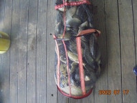 오빈낚시터 유료낚시터 > ****기복없이 꾸준한 조황보이고 있습니다***** : 낚시사랑