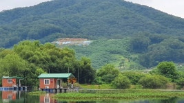 고삼지 양촌 유료낚시터 > 고삼지 덩어리 조황 살아납니다 : 낚시사랑