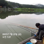 양평그린낚시터 유료낚시터 > 양평 그린낚시터 7/21~7/22 조황 정보 및 방류 소식 : 낚시사랑
