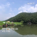 양평그린낚시터 유료낚시터 > 양평 그린낚시터 7/21~7/22 조황 정보 및 방류 소식 : 낚시사랑