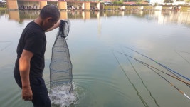 안성 거청낚시터 유료낚시터 > 7월 24 일 휴가철 안전하고 깨끗한 거청낚시터 에서 . . . : 낚시사랑