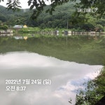 양평그린낚시터 유료낚시터 > 양평 그린낚시터 7/23~7/24 조황 정보 및 방류 소식 : 낚시사랑