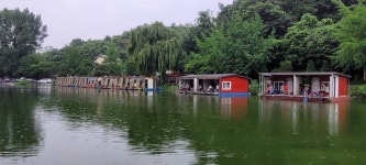 양평수곡낚시터 유료낚시터 > 여름피서낚시 2호 5짜붕어 힐링 수곡낚시터 7월넷째주말 주후반 조황 입니다 : 낚시사랑