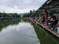 삼하낚시터 유료낚시터 > ## (삼하) 휴가비를 건져가세요 ## : 낚시사랑