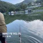 양평그린낚시터 유료낚시터 > 양평 그린낚시터 7/27~7/28 조황 정보 및 방류 소식 : 낚시사랑