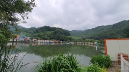 즐거운복상골 유료낚시터 > 복숭아향이 가득한 복상골입니다~~~ : 낚시사랑