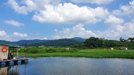 고삼지 양촌 유료낚시터 > 고삼지 최고의 포인트! 마리수조황! : 낚시사랑