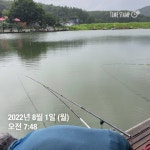 양평그린낚시터 유료낚시터 > 양평 그린낚시터 7/31~8/01 조황 정보 및 방류 소식 : 낚시사랑