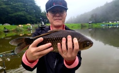 용담낚시터 유료낚시터 > 인당 3마리 반출마릿수 제한소식 및 조황정보 : 낚시사랑