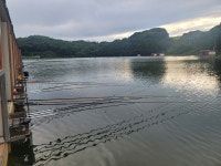 삼인낚시터 유료낚시터 > 휴가철 가족과 함깨 할수 있는 가깝고 물좋고 경치 좋은곳~~!!-용인삼인낚시터- : 낚시사랑