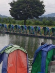 마전낚시공원 유료낚시터 > 꾸준히 지속되는 호조황소식 : 낚시사랑