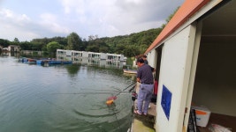 즐거운복상골 유료낚시터 > 휴가 잘 보내고 계신가요~~~ : 낚시사랑