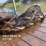 양평그린낚시터 유료낚시터 > 양평 그린낚시터 8/5~8/6 조황 정보 및 방류 소식 : 낚시사랑