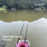 양평그린낚시터 유료낚시터 > 양평 그린낚시터 8/6~8/7 조황 정보 및 방류 소식 : 낚시사랑