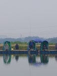 마전낚시공원 유료낚시터 > 연휴에도 끄덕없는 호조황소식!! : 낚시사랑