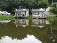 상곡낚시터 유료낚시터 > 상곡낚시터~~~22년8월17일 올려봅니다~~~ : 낚시사랑