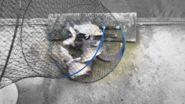 독정낚시터 유료낚시터 > 주춤?? : 낚시사랑