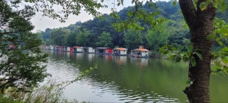 양평수곡낚시터 유료낚시터 > 5짜 대물붕어 양평 수곡낚시터8월 넷째주 주후반 조황 및 방류 : 낚시사랑