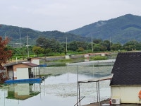 삼성지낚시터 유료낚시터 > 아주 큰놈이 온다하니 모두모두 조심하세요 : 낚시사랑