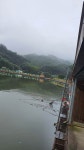 장광낚시터 유료낚시터 > 안성[장광] 9월 2일 방류와~~~조황소식 : 낚시사랑