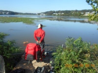 칠곡낚시터 유료낚시터 > 마리수 조황은 대박 : 낚시사랑