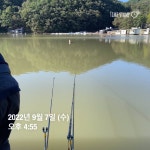 양평그린낚시터 유료낚시터 > 양평 그린낚시터 9/7~9/8 조황 정보 및 방류 소식 : 낚시사랑