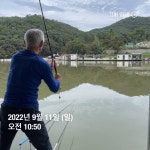 양평그린낚시터 유료낚시터 > 양평 그린낚시터 9/10~9/11 조황 정보 및 방류 소식 : 낚시사랑