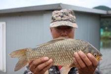 내동지 유료낚시터 > *** 살아난 조황 *** : 낚시사랑