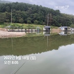 양평그린낚시터 유료낚시터 > 양평 그린낚시터 9/17~9/18 조황 정보 및 방류 소식 : 낚시사랑