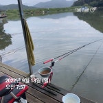 양평그린낚시터 유료낚시터 > 양평 그린낚시터 9/17~9/18 조황 정보 및 방류 소식 : 낚시사랑