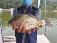 송전집좌대 유료낚시터 > 송전지 송전 좌대(송전집) 조황정보 : 낚시사랑