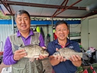 하천낚시터 유료낚시터 > 가을낚시 풍년 : 낚시사랑